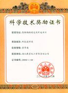 �������Ƽ�������